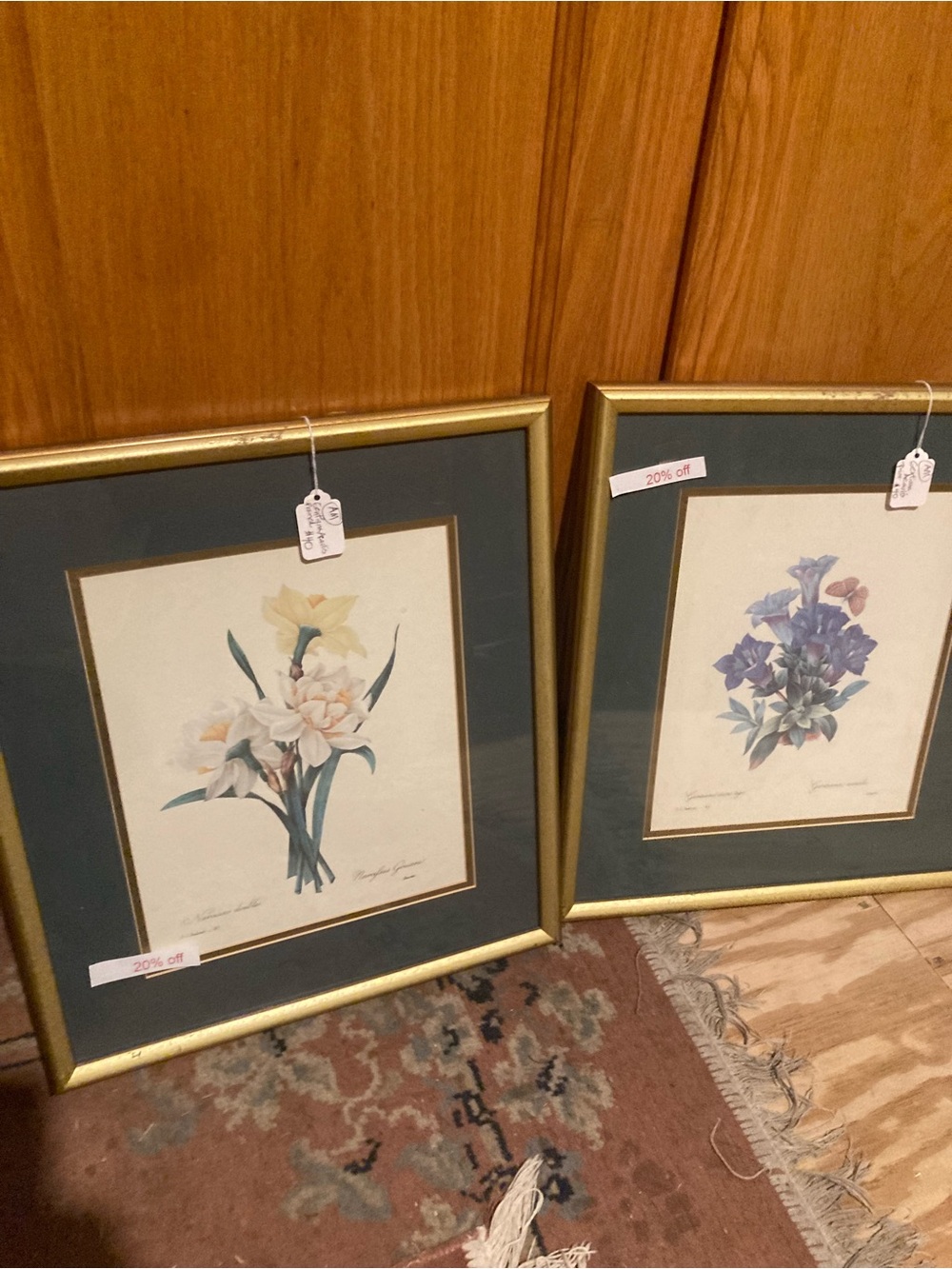 Gold Frame Botanical Print with Green Mat - Unbranded